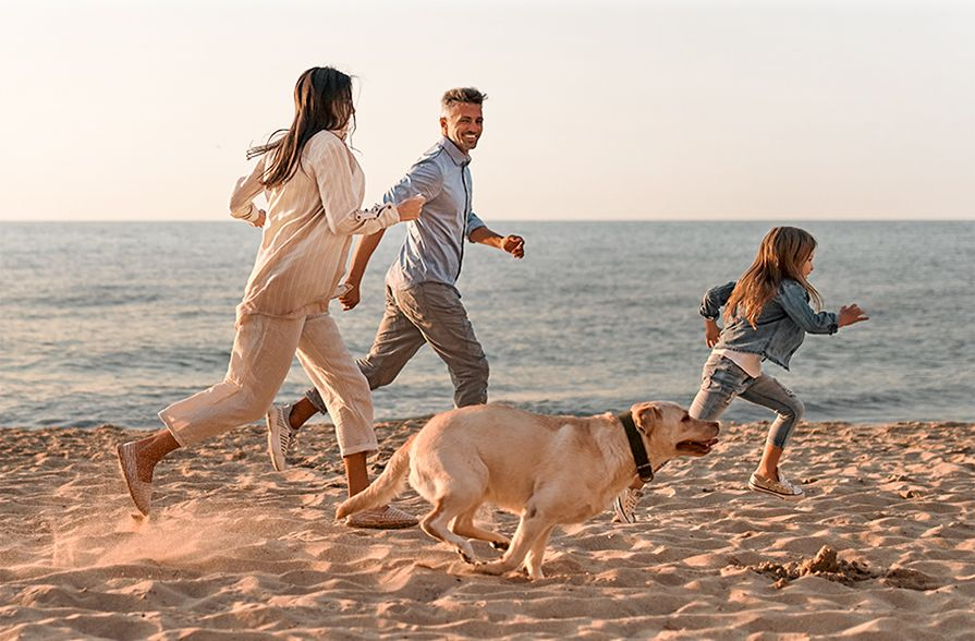 eyecatcher-urlaub-mit-hund-mobil-2
